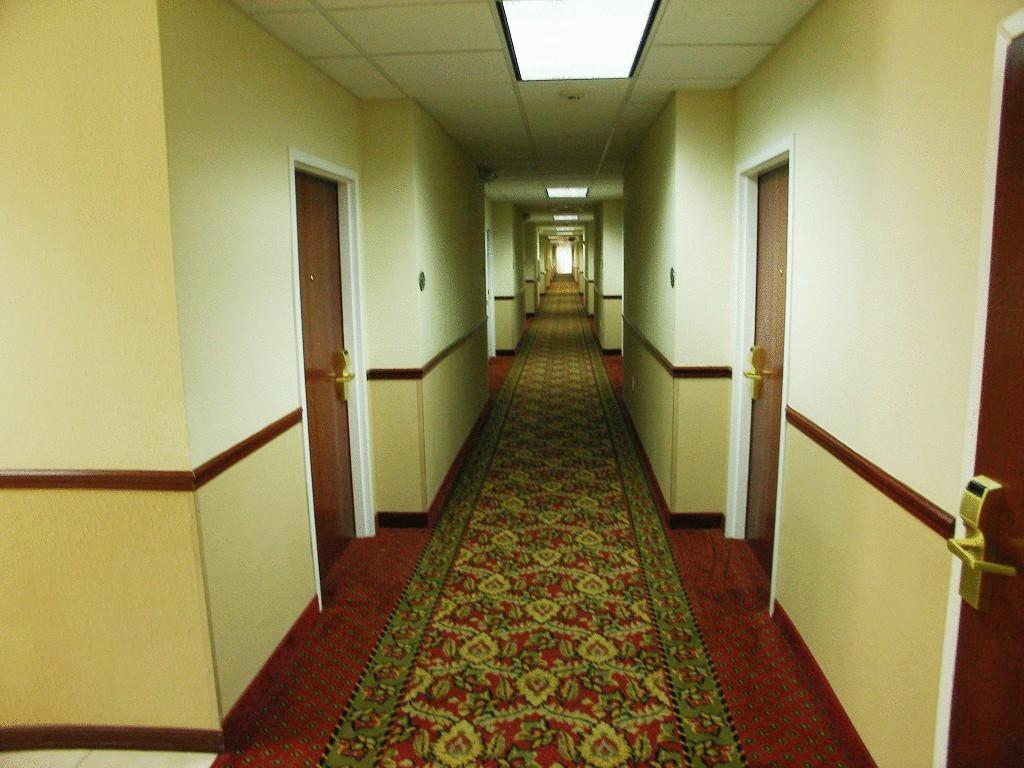 Quality Inn Zephyrhills-Dade City מראה חיצוני תמונה